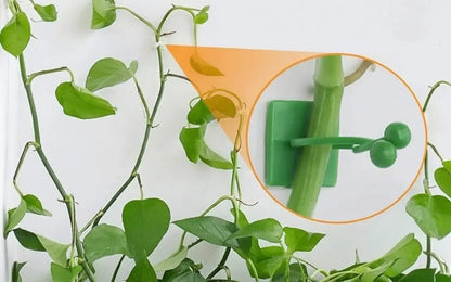 Grampo de parede para Plantas